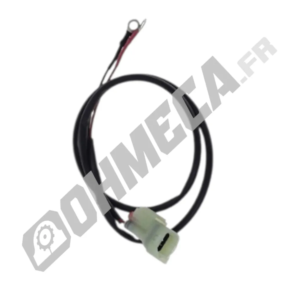 CABLE DE DIAGNOSTIC TM MOTO 2T 2015 ET +