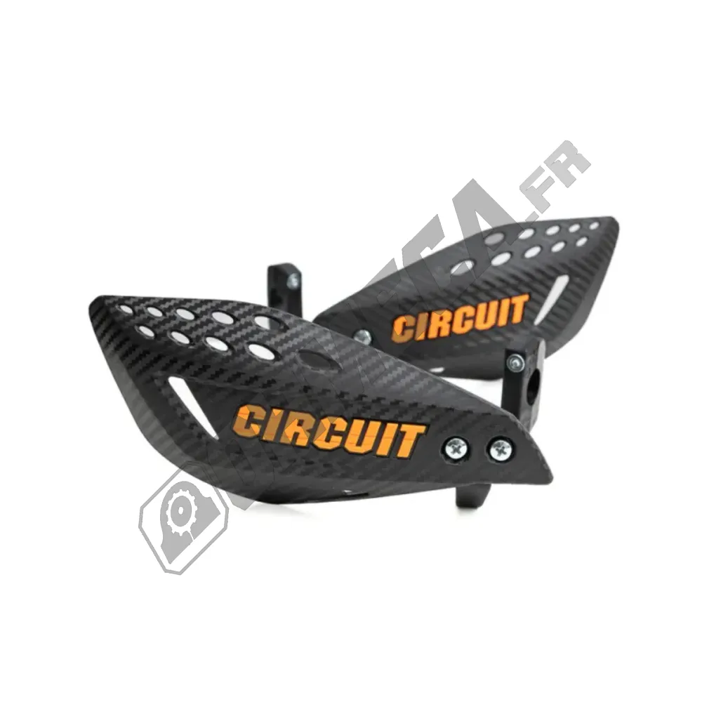 PROTEGE MAINS CIRCUIT VECTOR PROTEGE MAINS CIRCUIT VECTOR