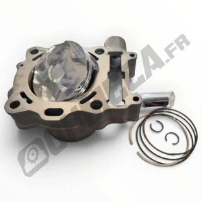 ÉCHANGE STANDARD CYLINDRE PISTON TM 250 FI | OHMÉCA