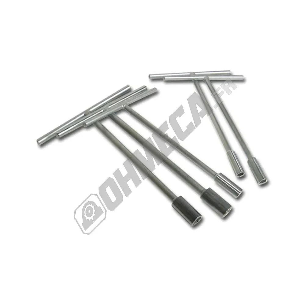 Jeu de 5 clés en T à douilles BIHR