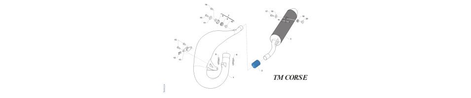 ECHAPPEMENT CORSE 2T-MX-125-ES 2026