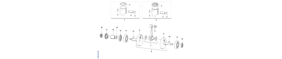 EMBIELLAGEMX-250-2T 2010