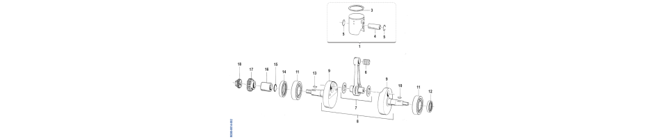 EMBIELLAGEEN-300-2T 2010