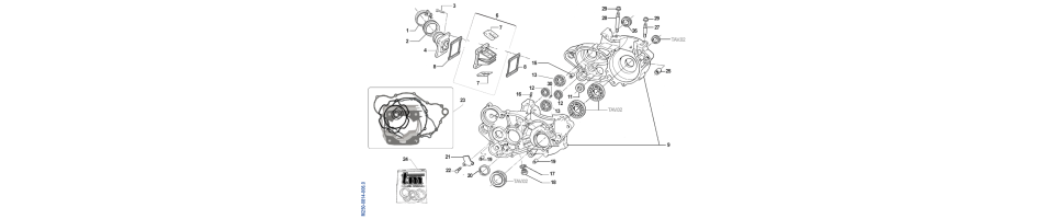 CARTER MOTEUREN-250-2T 2008