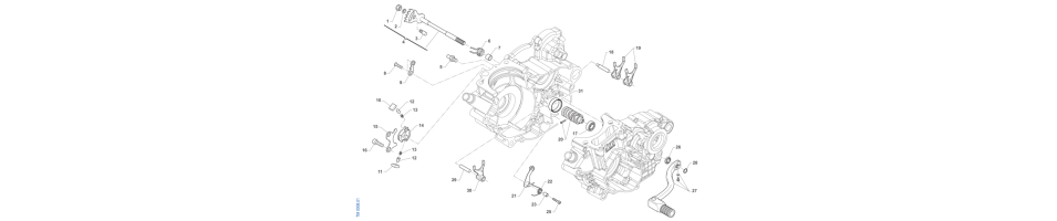 SELECTION4T-MX-250-FI-ES 2025