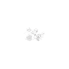 DISTRIBUTION