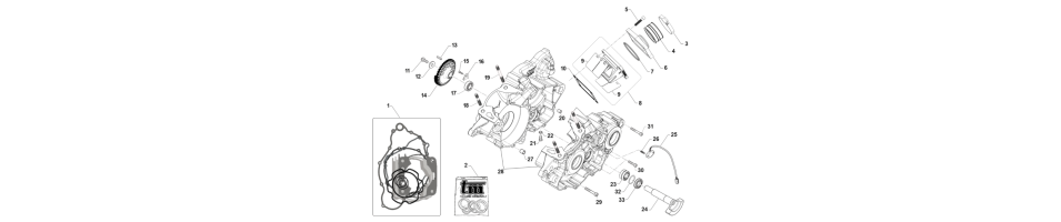 CARTER MOTEUR2T-250-MX 2024