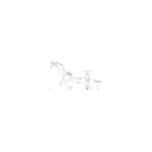 GUIDON