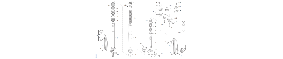FOURCHEMX-85-JUNIOR 2021