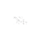 GUIDON