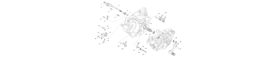 SELECTIONMX-250Fi-4T 2021