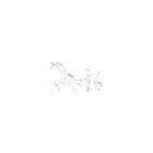 GUIDON