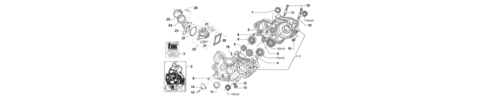 CARTER MOTEURMX-125 2020