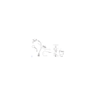 GUIDON