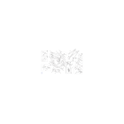 CHASSIS