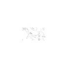 GUIDON