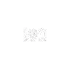 CHASSIS