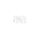 CHASSIS