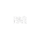 CHASSIS