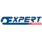 Expert